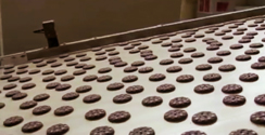 Industrial manufacturing facilities for breakfast chocolate biscuits